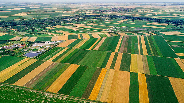 Українські фермери отримали безкоштовний доступ до супутникового моніторингу полів