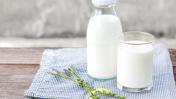 Молоко продовжує залишатись найбільш рентабельним продуктом у тваринництві