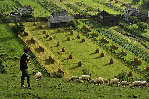 Відкриття ринку землі в Україні — чого чекати аграріям? 