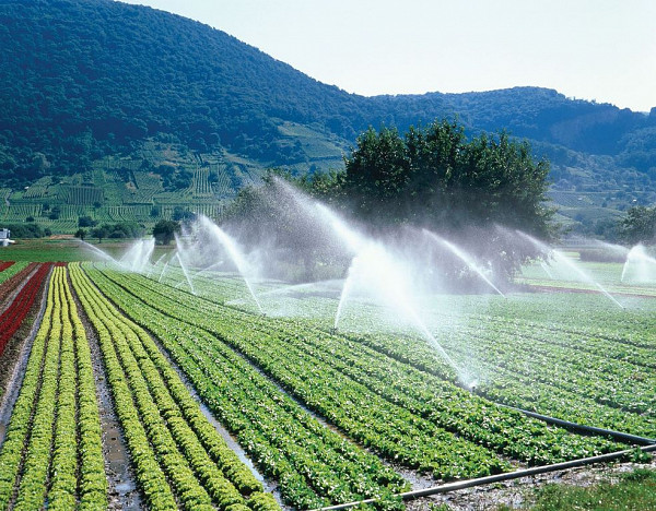 “Розумне” водопостачання в сільському господарстві