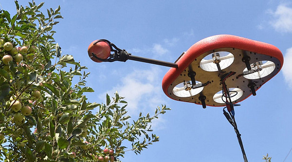 В Ізраїлі розробили дрони для збирання яблук
