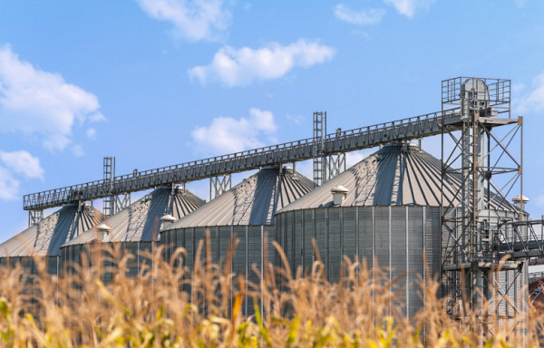 Уряди країн ЄС розглянуть можливість надання Україні тимчасових сховищ для зернових