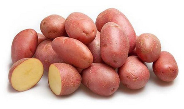 Вчені представили картоплю нового покоління