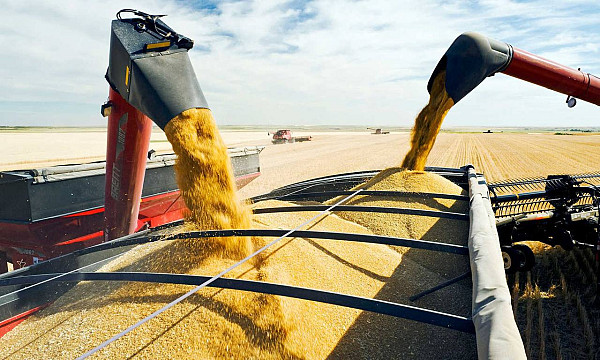 Словаччина слідом за Польщею та Угорщиною забороняє імпорт українського зерна