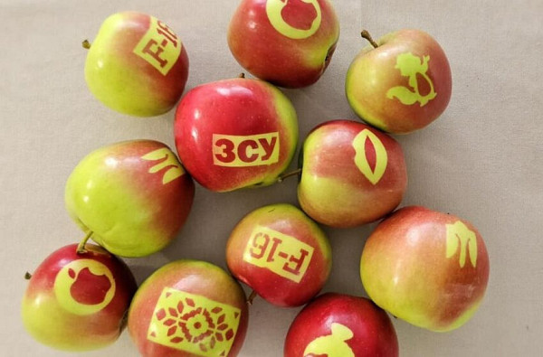 На Вінниччині вирощують яблука з патріотичними написами