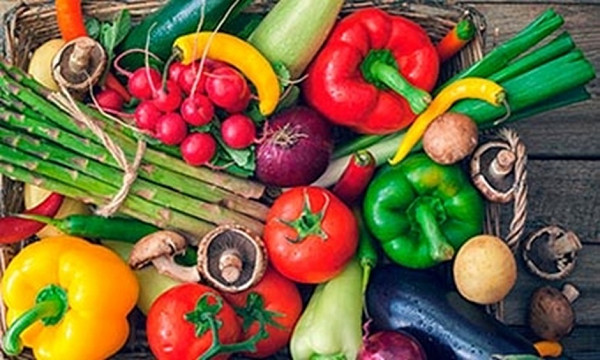 Голландские семена овощей: как выбрать и купить лучшие сорта для вашего сада