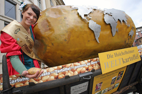 Пам'ятник картоплі в Ерфурті «Хайхельхаймська всесвітня картопля» 