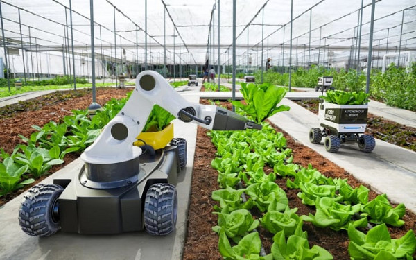 Ринок «розумного» сільського господарства зросте до $33 млрд: в які AgTech-акції вкласти кошти