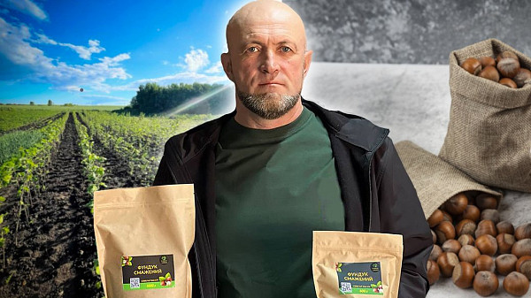 Ветеран ЗСУ Володимир Матвійчук вирощує фундук на Житомирщині: поради для садівників