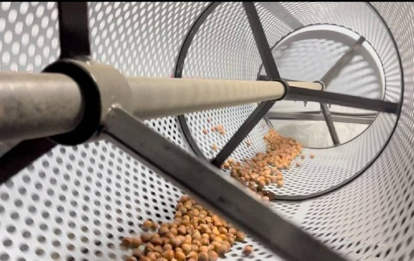 Ветеран ЗСУ Володимир Матвійчук вирощує фундук на Житомирщині: поради для садівників