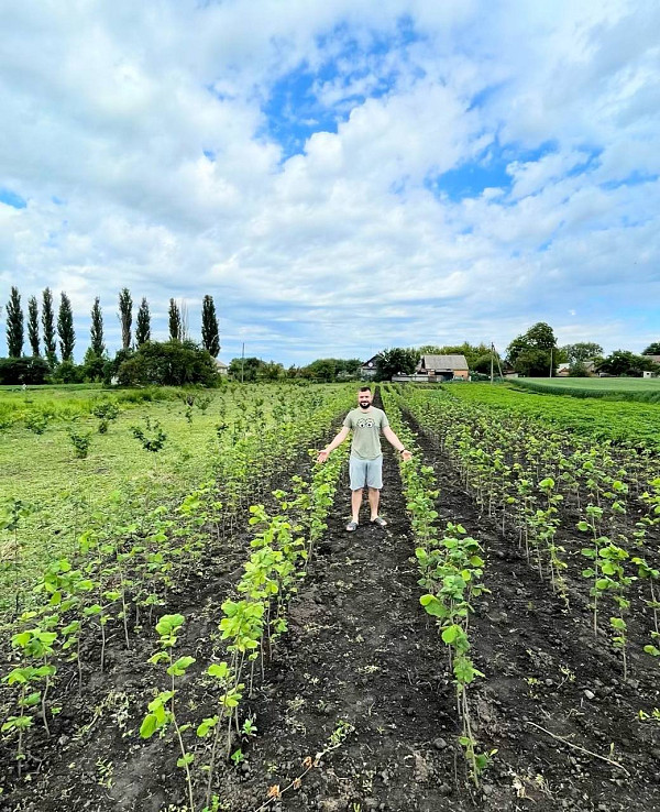 Ветеран ЗСУ Володимир Матвійчук вирощує фундук на Житомирщині: поради для садівників