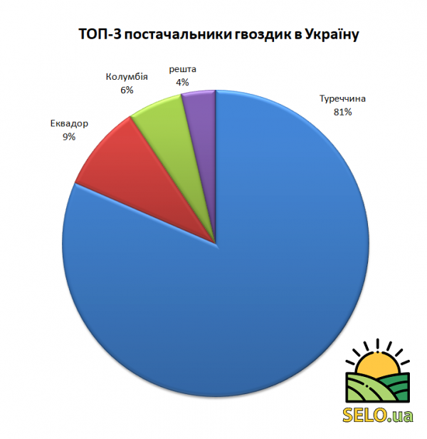 ТОП-3 постачальників гвоздик в Україну