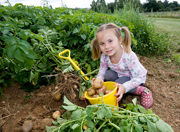 У Великобританії хочуть ввести в школах обов'язкове вивчення сільського господарства