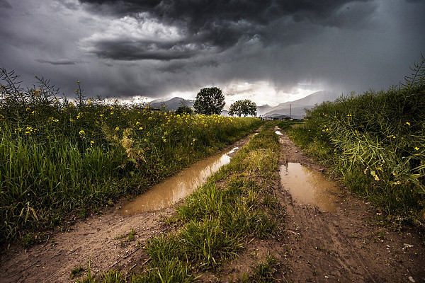 Як вплинуть на аграріїв весняні зливи?